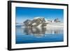 Mountains reflecting in glassy water of Hope Bay, Antarctica, Polar Regions-Michael Runkel-Framed Photographic Print