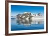 Mountains reflecting in glassy water of Hope Bay, Antarctica, Polar Regions-Michael Runkel-Framed Photographic Print