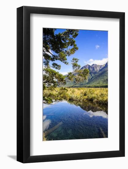Mountains Reflecting in the Mirror Lakes, Eglinton Valley, Fiordland National Park-Michael Runkel-Framed Photographic Print