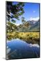 Mountains Reflecting in the Mirror Lakes, Eglinton Valley, Fiordland National Park-Michael Runkel-Mounted Photographic Print