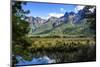 Mountains Reflecting in the Mirror Lakes, Eglinton Valley, South Island, New Zealand, Pacific-Michael-Mounted Photographic Print