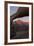 Mountains Seen Through Mobius Arch, Alabama Hills, California, USA-Jaynes Gallery-Framed Photographic Print