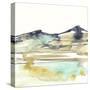 Mountains to Sea VI-Jennifer Goldberger-Stretched Canvas