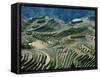 Mountainside Landscape of Rice Terraces, China-Keren Su-Framed Stretched Canvas