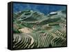 Mountainside Landscape of Rice Terraces, China-Keren Su-Framed Stretched Canvas