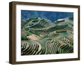 Mountainside Landscape of Rice Terraces, China-Keren Su-Framed Premium Photographic Print