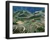 Mountainside Landscape of Rice Terraces, China-Keren Su-Framed Premium Photographic Print