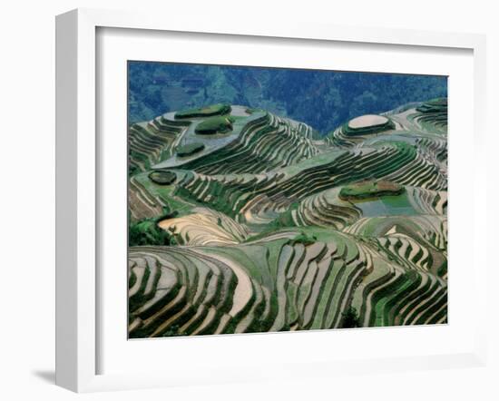 Mountainside Landscape of Rice Terraces, China-Keren Su-Framed Premium Photographic Print