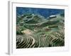 Mountainside Landscape of Rice Terraces, China-Keren Su-Framed Photographic Print