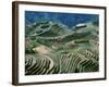 Mountainside Landscape of Rice Terraces, China-Keren Su-Framed Photographic Print