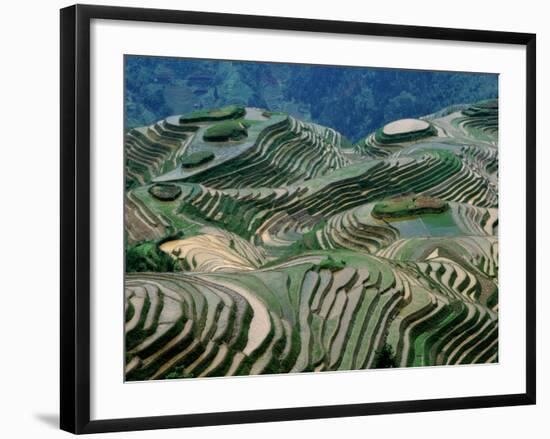 Mountainside Landscape of Rice Terraces, China-Keren Su-Framed Photographic Print