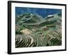 Mountainside Landscape of Rice Terraces, China-Keren Su-Framed Photographic Print