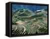 Mountainside Landscape of Rice Terraces, China-Keren Su-Framed Stretched Canvas