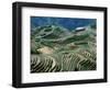 Mountainside Landscape of Rice Terraces, China-Keren Su-Framed Photographic Print