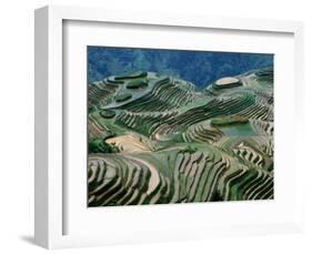 Mountainside Landscape of Rice Terraces, China-Keren Su-Framed Photographic Print