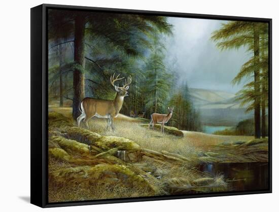 Mountaintop Retreat-Ruane Manning-Framed Stretched Canvas