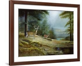 Mountaintop Retreat-Ruane Manning-Framed Art Print