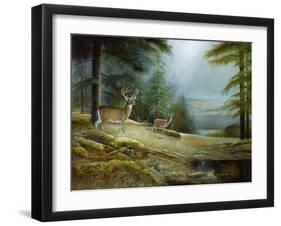 Mountaintop Retreat-Ruane Manning-Framed Art Print