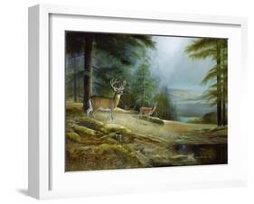 Mountaintop Retreat-Ruane Manning-Framed Art Print