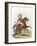 Mounted British Warrior-Charles Hamilton Smith-Framed Art Print