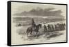 Mounted Policeman for the Crimea, Soldiers Dragging Stores to the Camp-null-Framed Stretched Canvas