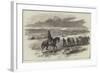 Mounted Policeman for the Crimea, Soldiers Dragging Stores to the Camp-null-Framed Giclee Print