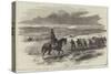 Mounted Policeman for the Crimea, Soldiers Dragging Stores to the Camp-null-Stretched Canvas