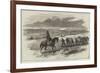 Mounted Policeman for the Crimea, Soldiers Dragging Stores to the Camp-null-Framed Giclee Print