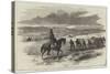 Mounted Policeman for the Crimea, Soldiers Dragging Stores to the Camp-null-Stretched Canvas