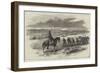 Mounted Policeman for the Crimea, Soldiers Dragging Stores to the Camp-null-Framed Giclee Print