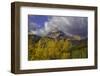 MOUNTIAN IN FALL-SALLY LINDEN-Framed Photographic Print