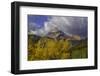 MOUNTIAN IN FALL-SALLY LINDEN-Framed Photographic Print