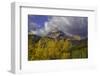 MOUNTIAN IN FALL-SALLY LINDEN-Framed Photographic Print