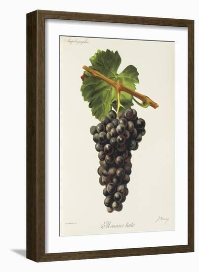 Mourisco Tinto Grape-J. Troncy-Framed Giclee Print