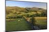 Mourne Mountains, County Down, Ulster, Northern Ireland, United Kingdom, Europe-Carsten Krieger-Mounted Photographic Print