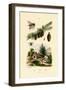 Mourning Bee, 1833-39-null-Framed Giclee Print