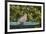 Mourning Dove at the Backyard Bird Bath-Michael Qualls-Framed Photographic Print