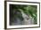 Mourning Dove-Gary Carter-Framed Photographic Print