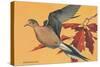 Mourning Dove-null-Stretched Canvas