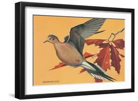 Mourning Dove-null-Framed Art Print