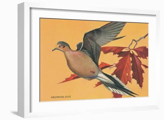 Mourning Dove-null-Framed Art Print