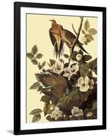 Mourning Doves-John James Audubon-Framed Giclee Print