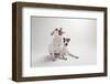 Mouse and Jack-Susan Sabo-Framed Photographic Print