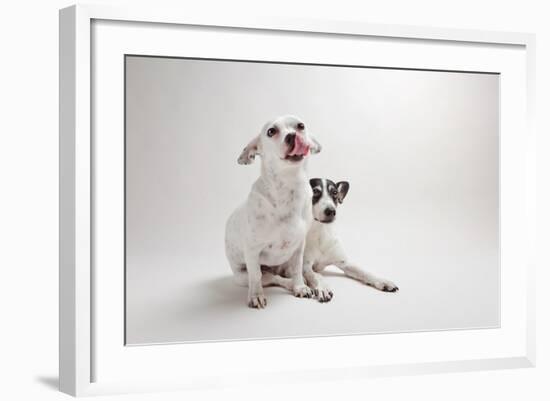 Mouse and Jack-Susan Sabo-Framed Photographic Print