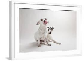 Mouse and Jack-Susan Sabo-Framed Photographic Print