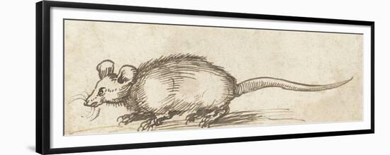 Mouse, C. 1480-1520-Albrecht Durer-Framed Premium Giclee Print