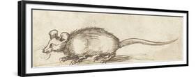 Mouse, C. 1480-1520-Albrecht Durer-Framed Premium Giclee Print