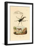 Mouse Deer, 1833-39-null-Framed Giclee Print