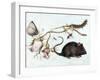 Mouse, Flower and Insect, 16th Century-Joris Hoefnagel-Framed Giclee Print