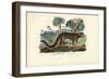 Mouse Lemur, 1863-79-Raimundo Petraroja-Framed Giclee Print